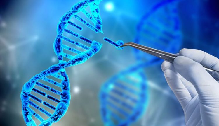 CRISPR-терапия при редких заболеваниях крови