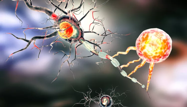 Подавление белков поможет в терапии рецидивирующего рака мозга
