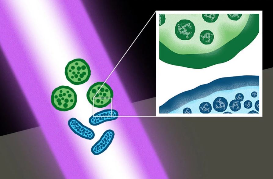 Импульсы лазера уничтожают супербактерии
