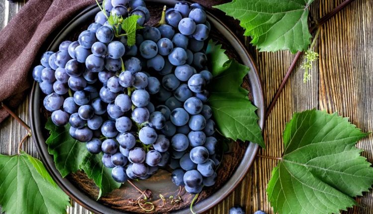 Употребление винограда увеличивает разнообразие микробиома кишечника