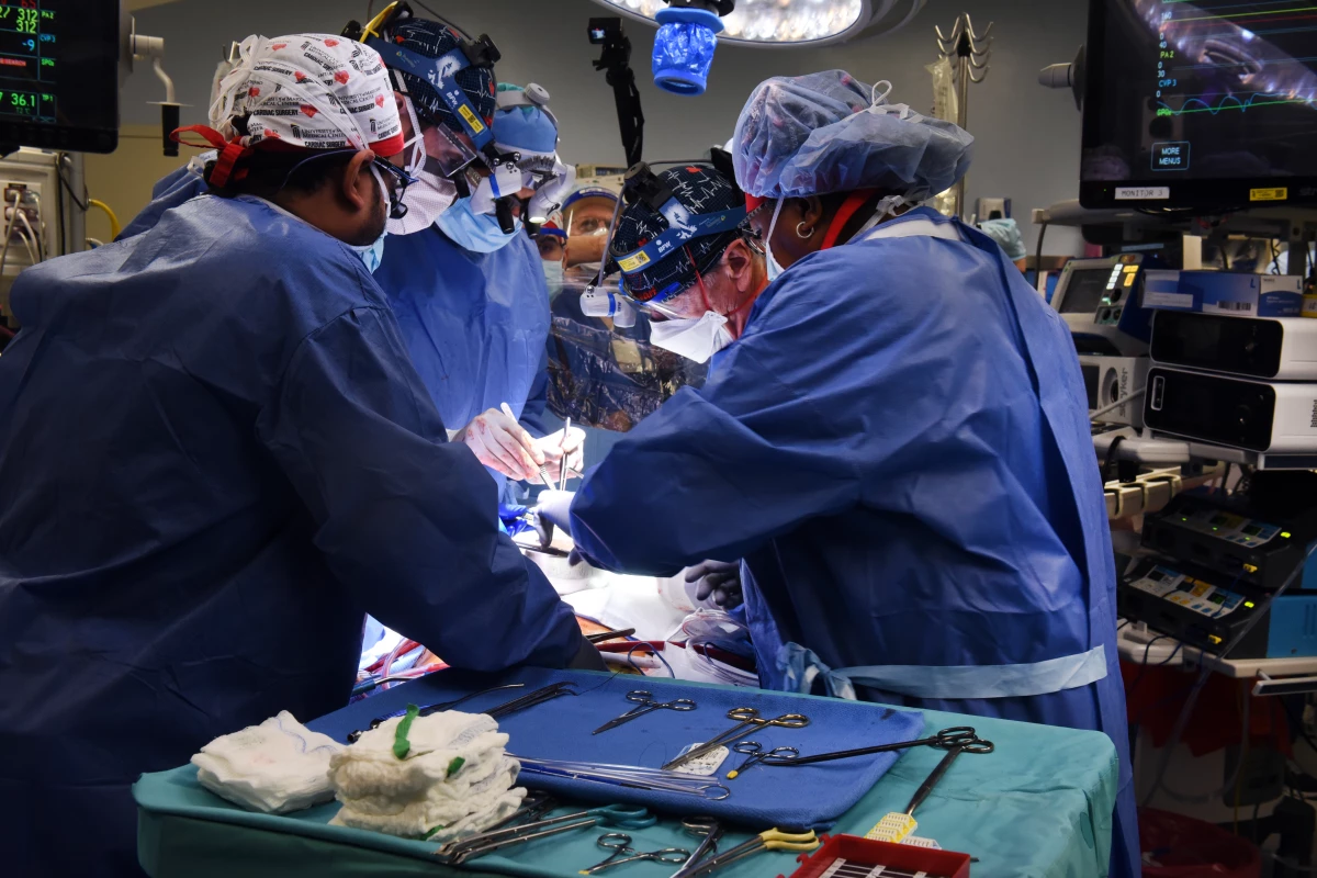 В США проведена первая в мире трансплантация сердца от свиньи человеку