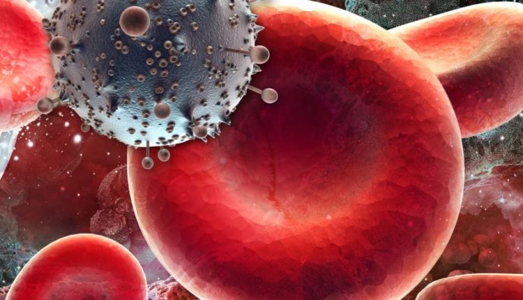 Усовершенствованная стратегия «kick and kill» устраняет ВИЧ у инфицированных мышей