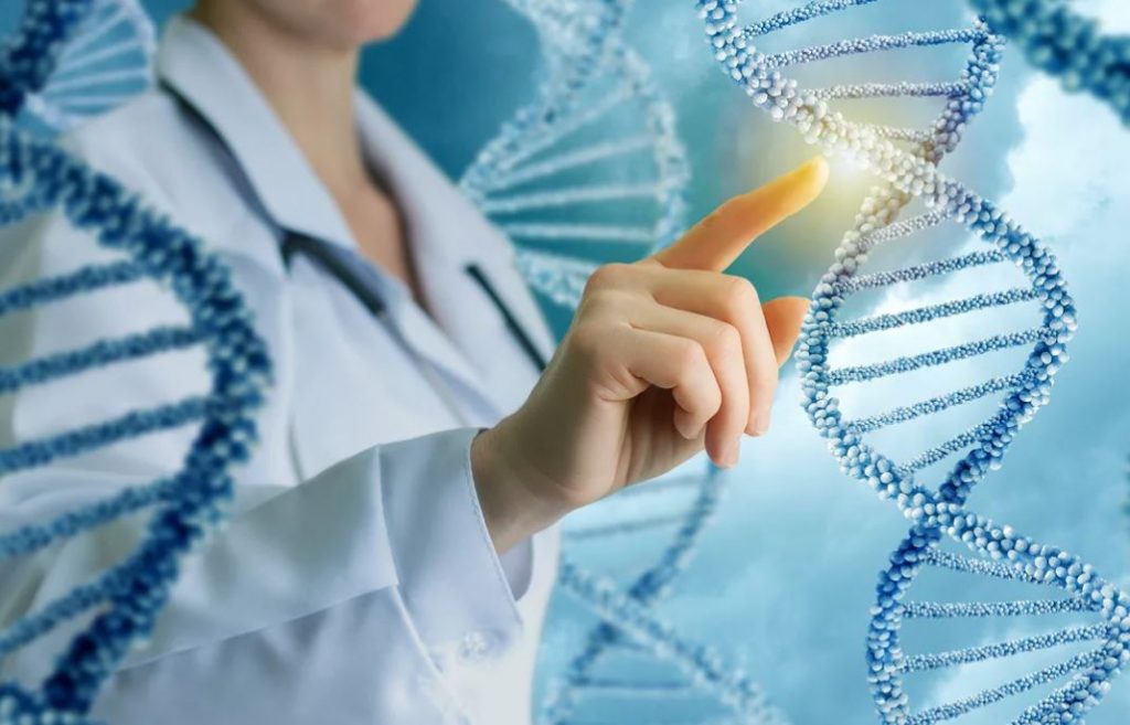 люди с определенным вариантом гена BRCA2 более склонны к развитию опухолей