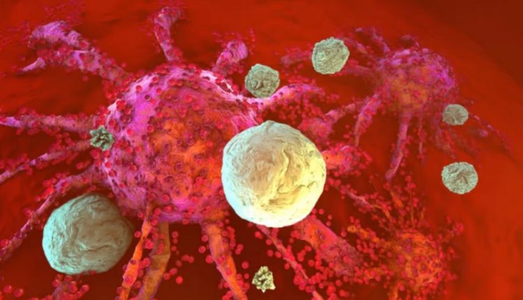 Молекула, освежающая Т-клетки, может быть ключом к предотвращению иммунного истощения