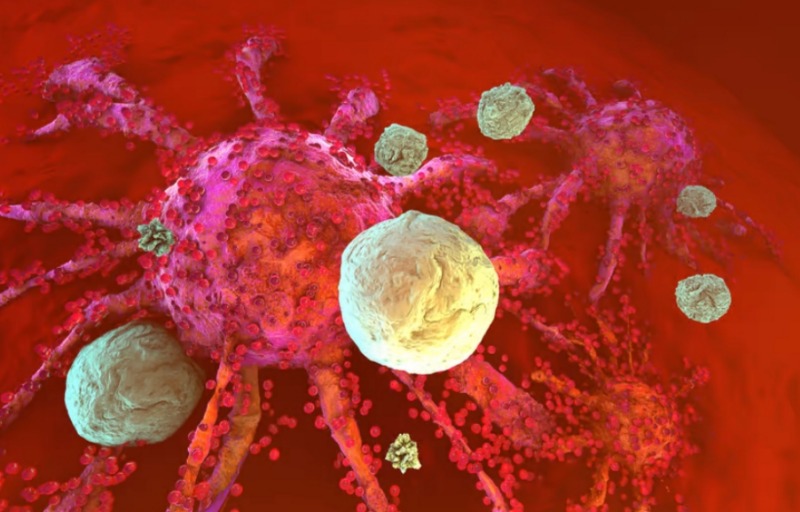 Молекула, освежающая Т-клетки, может быть ключом к предотвращению иммунного истощения