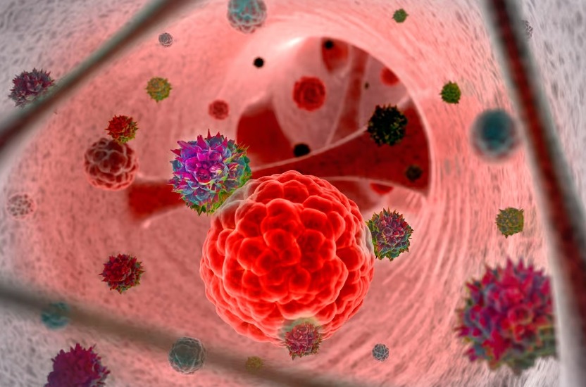 Вирус герпеса предназначен для введения в опухоли и привлечения иммунных клеток, убивающих рак