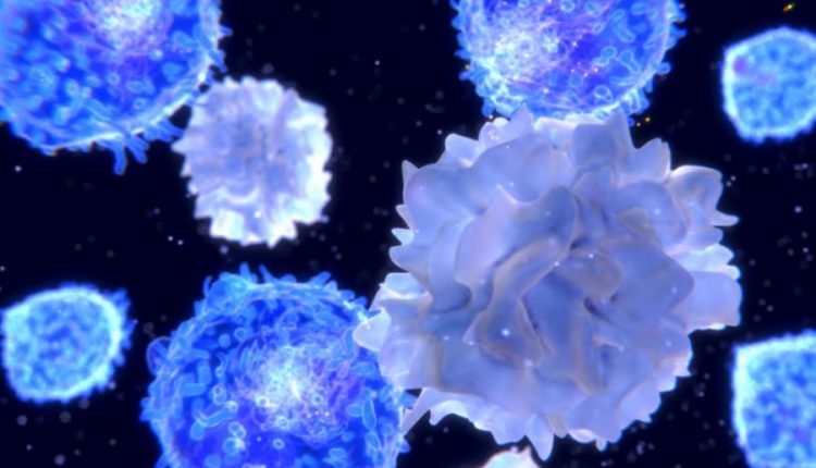 Новая молекула контролирует иммунные клетки для предотвращения аутоиммунных заболеваний