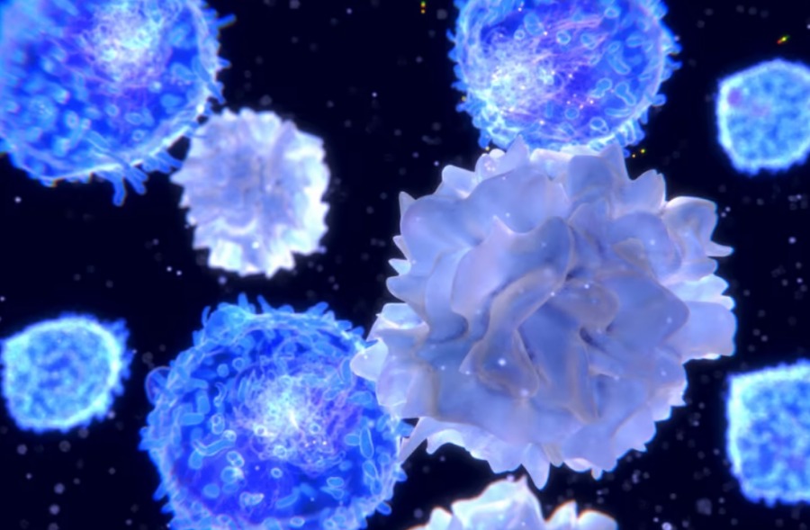 Новая молекула контролирует иммунные клетки для предотвращения аутоиммунных заболеваний