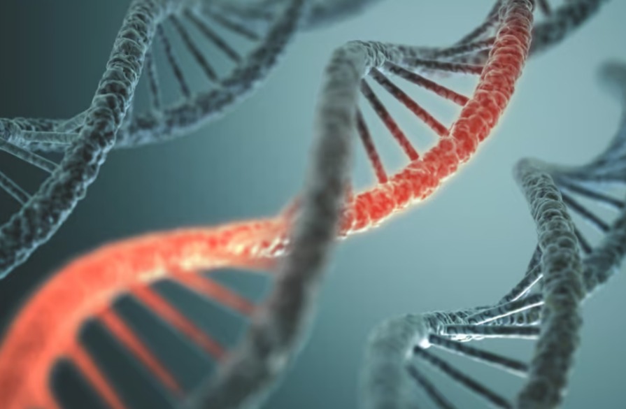 Ученые обнаружили новую причину рака — мутацию в определенном гене, который мешает процессу очистки клеток