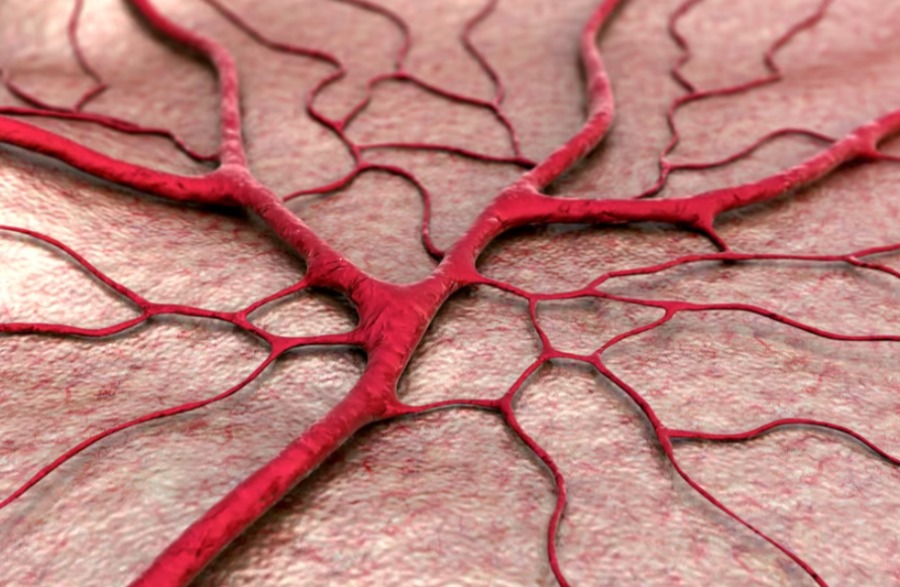 3D-печать приближает нас к искусственным кровеносным сосудам