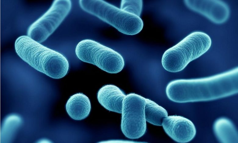 Супербактерии: подводные камни в борьбе с инфекциями