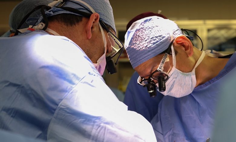 Генно-отредактированную почку свиньи впервые трансплантировали человеку